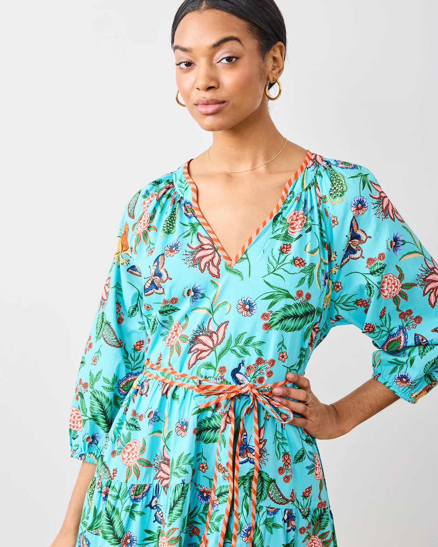Printfresh Lions & Butterflies Dress