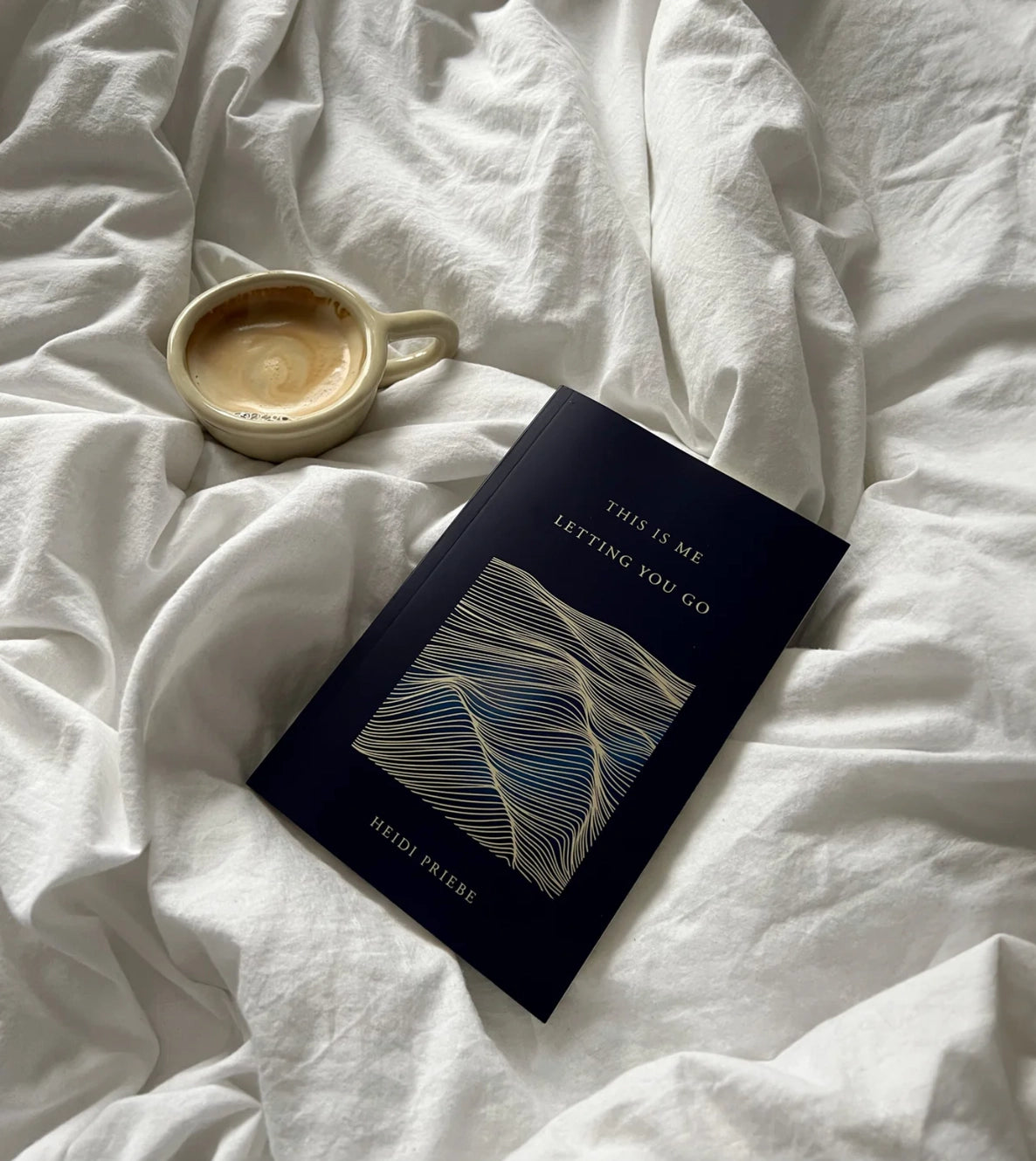 This Is Me Letting You Go by Heidi Priebe